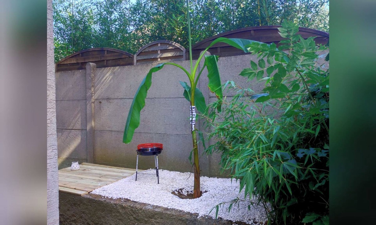 Morsang-sur-Orge Apartment | Le Vert Galant