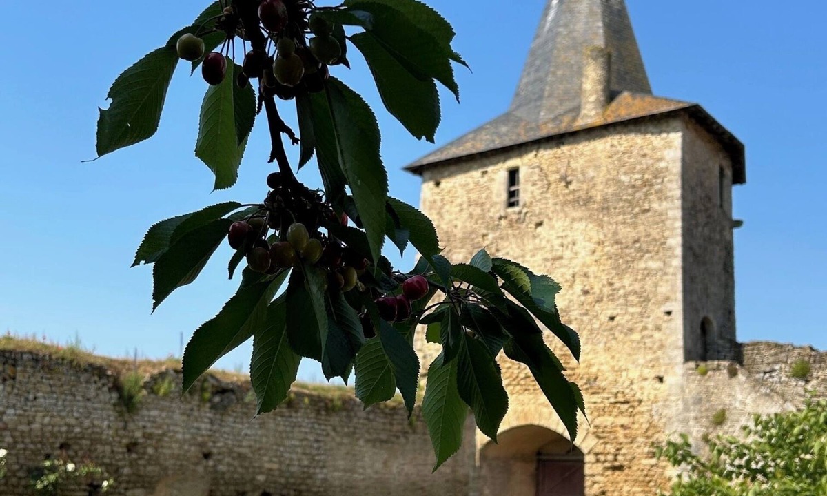 Airvault Bed & Breakfast | Le Vieux Château