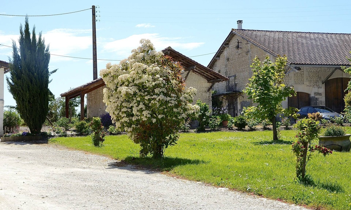 Reaux Bed & Breakfast | Le Vieux Noyer