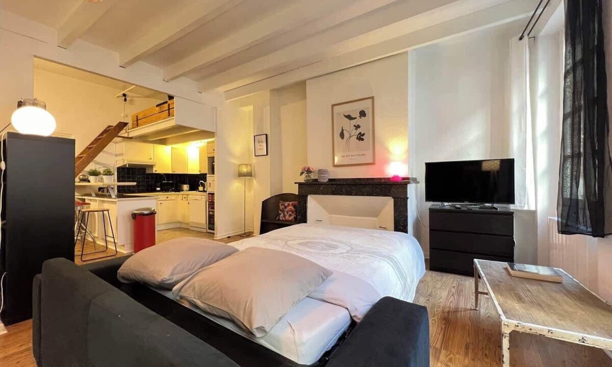 Saint-Etienne Apartment | Le Vogue - 6p - Downtown & Charm