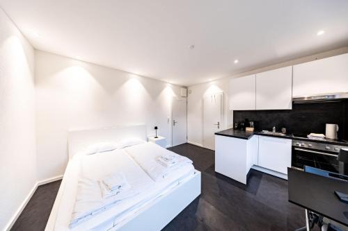 Schaffhausen Apartment | Lea Apartement - Ruhiges Studio