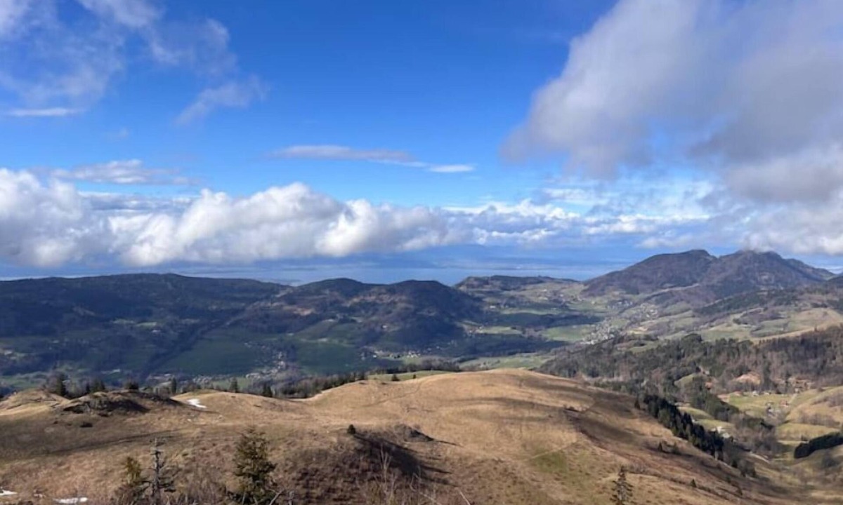 Viuz-en-Sallaz Apartment | Ledelweiss