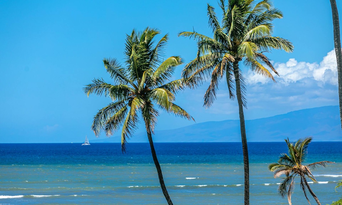 Kihei Condo | Leinaala Oceanfront #204 2nd Floor unit, Panoramic Ocean View, Great Rates!