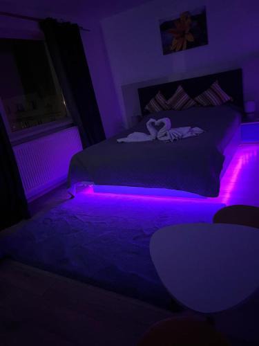 Marina District Apartment | Leo Home
