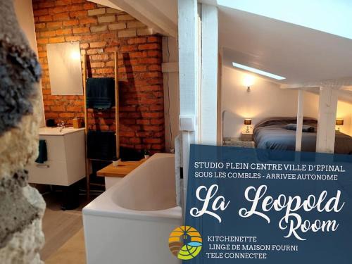 Epinal Apartment | Leopold Room 30m2 Hyper centre, Netflix & Wi-fi