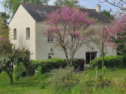 Saumur Bed & Breakfast | Les 2 Chênes