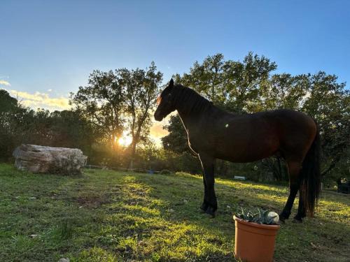 Logrian-Florian Bed & Breakfast | Les 3 Chênes
