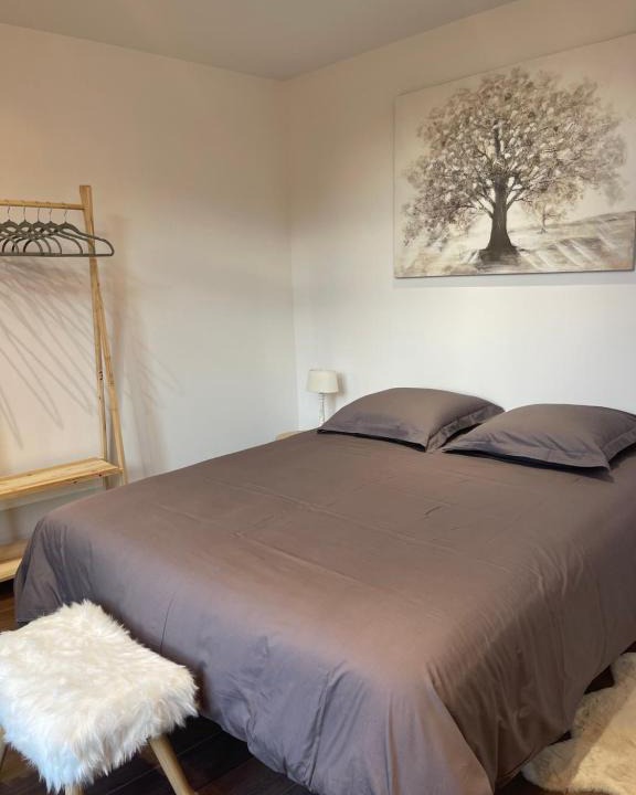 Mazamet Apartment | Les Appartements du Cep’t