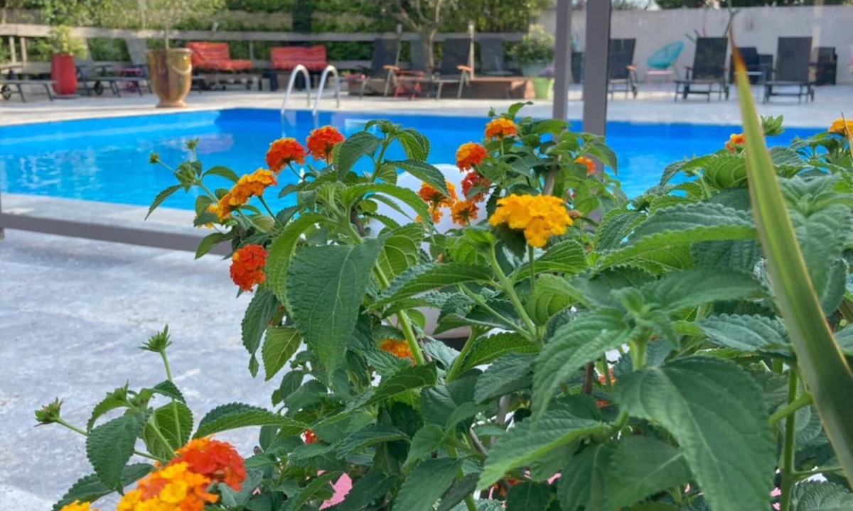 Bellegarde Hotel | Les Aubuns Country Hôtel