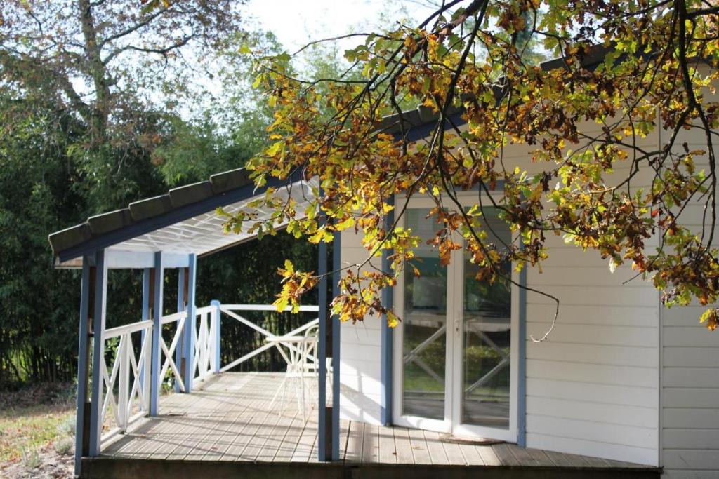 Taller House | Les bambous