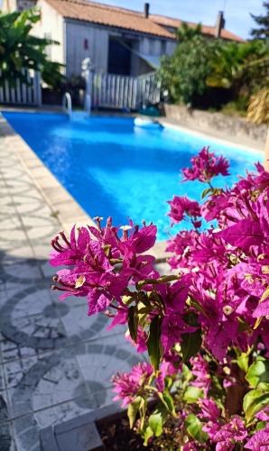 Mortagne-sur-Sevre Bed & Breakfast | Les Bichettes