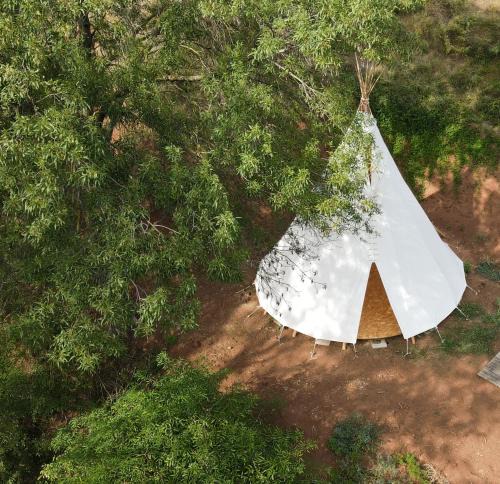 La Tour-Sur-Orb Other | Les Cabânes-Tipi Paco en pleine nature