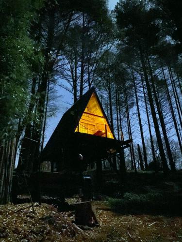 Salies-de-Bearn Other | Les cabanes de roquehort