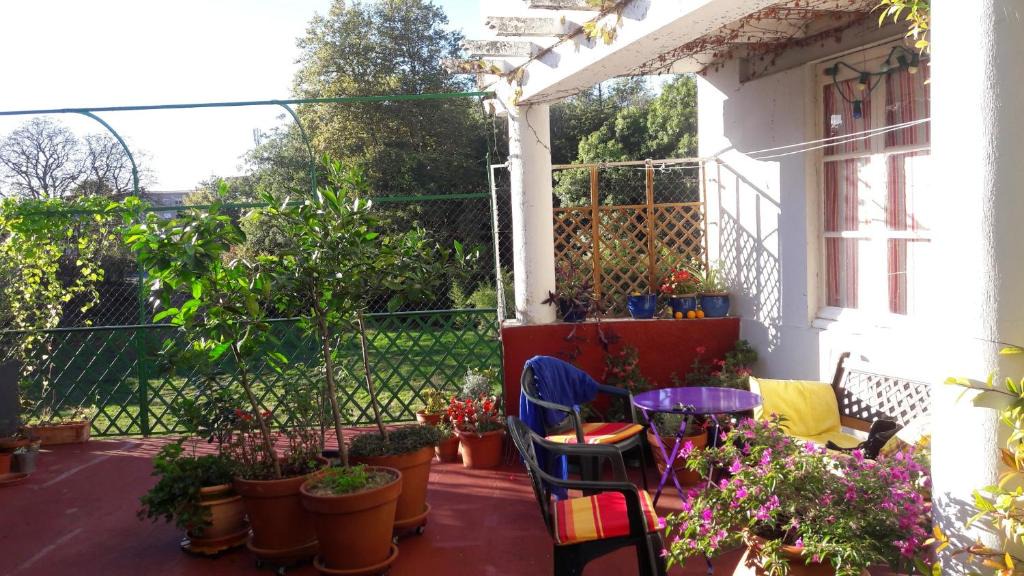 Mazamet Bed & Breakfast | les camélias