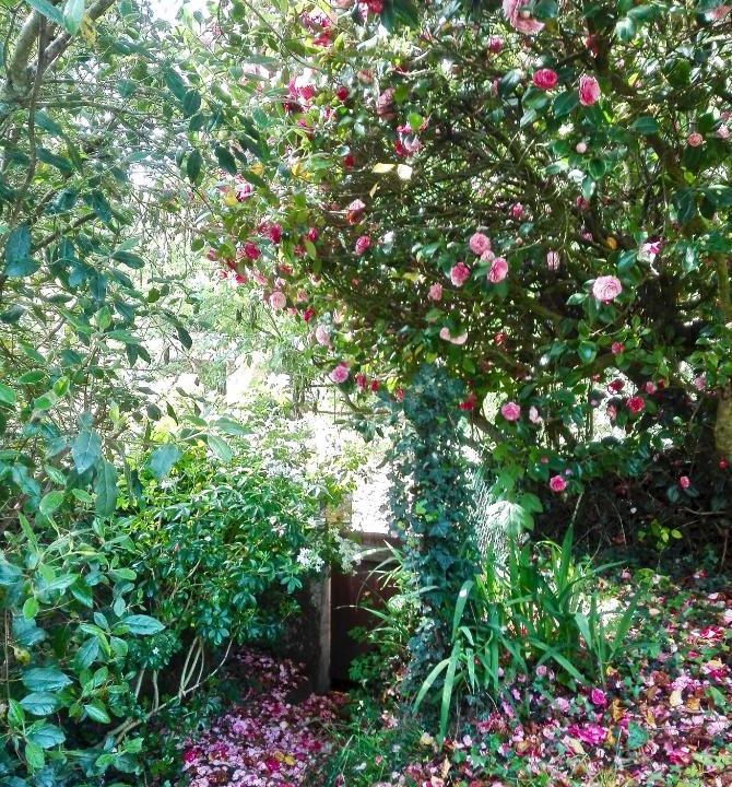 Rochefort-en-Terre House | Les Camelias