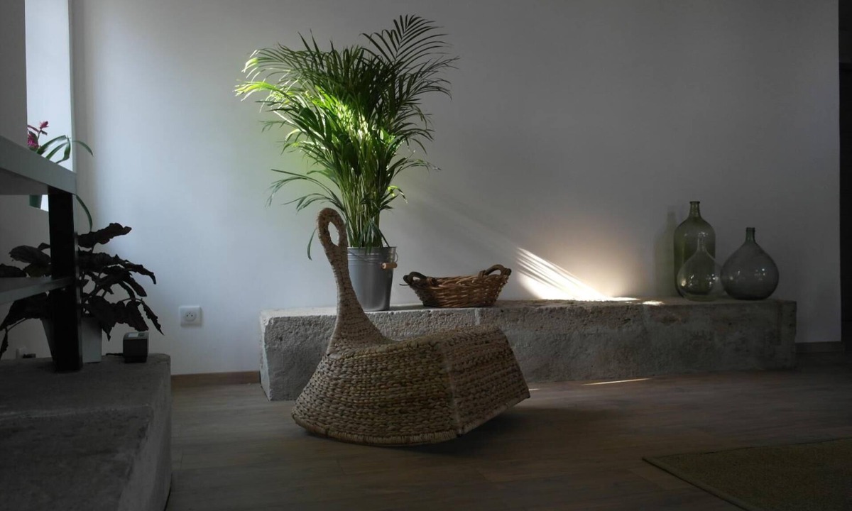 Montesquieu House | Les chambres de Filou
