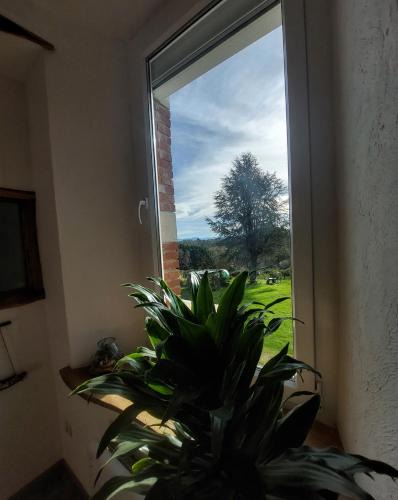 Clarens Bed & Breakfast | Les Chambres de l'Estelou