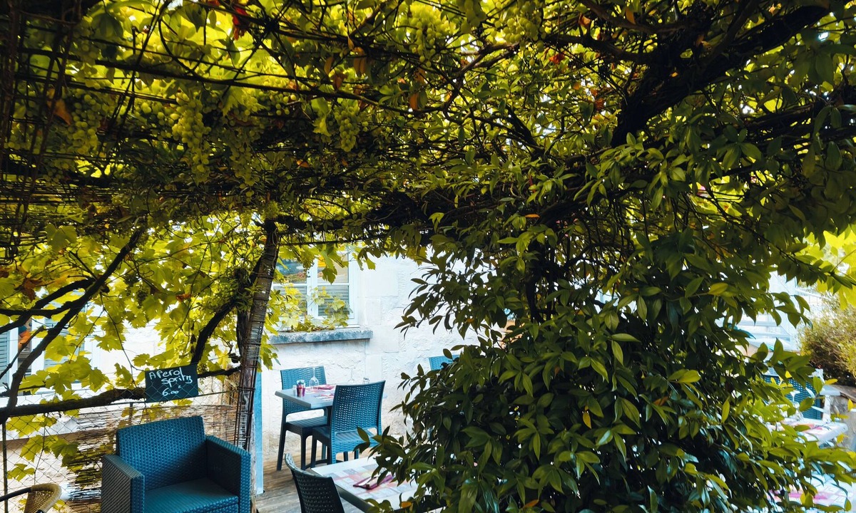 Cravant-les-Coteaux Bed & Breakfast | Les Chambres de Nelly