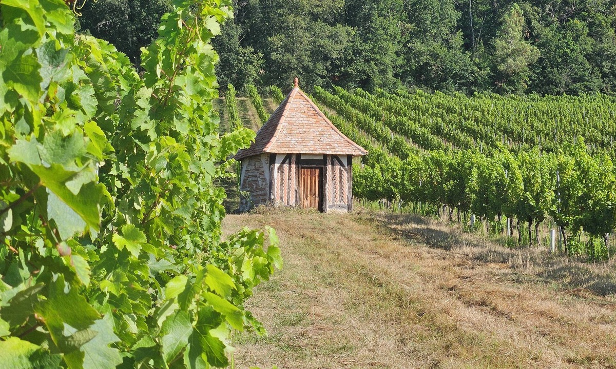 Le Fleix House | Les Deux Chênes
