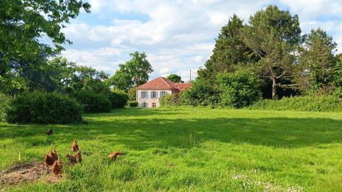 Cravenceres Bed & Breakfast | Les Figuiers Bleus