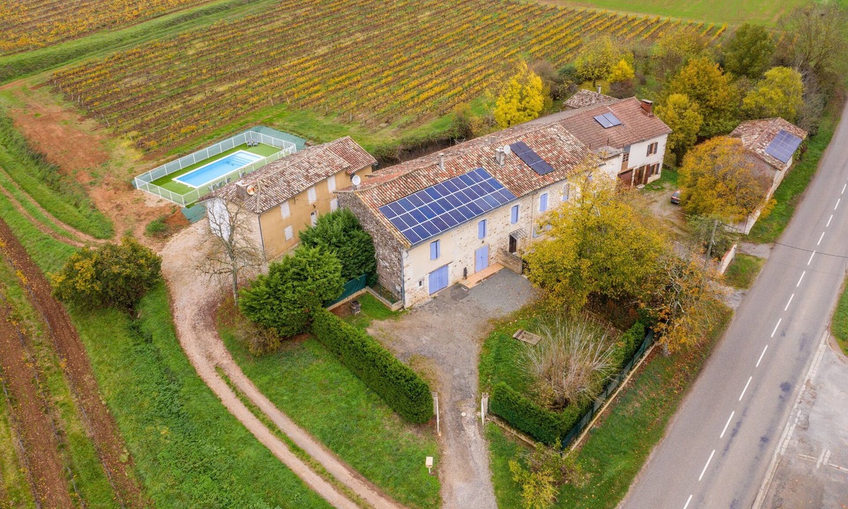 Castelnau-de-Montmiral House | Les Gîtes de Crabet - Swimming pool - Vineyard