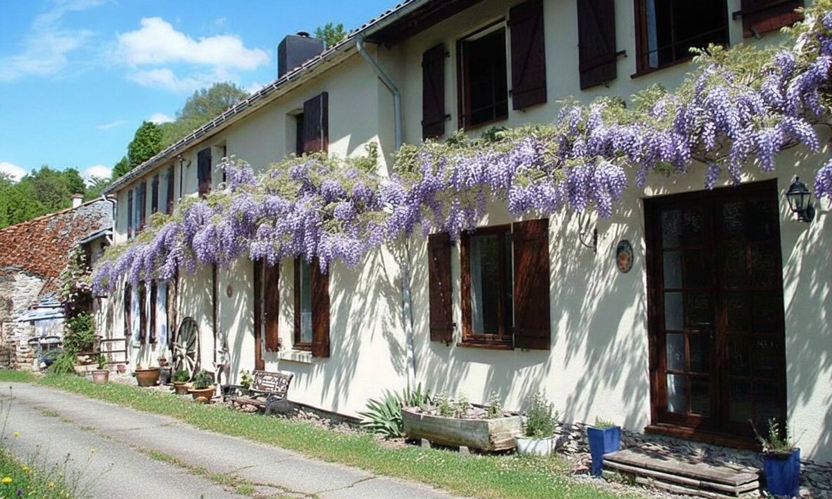 Vernoux-en-Gatine Cottage | Les Glycines Gites