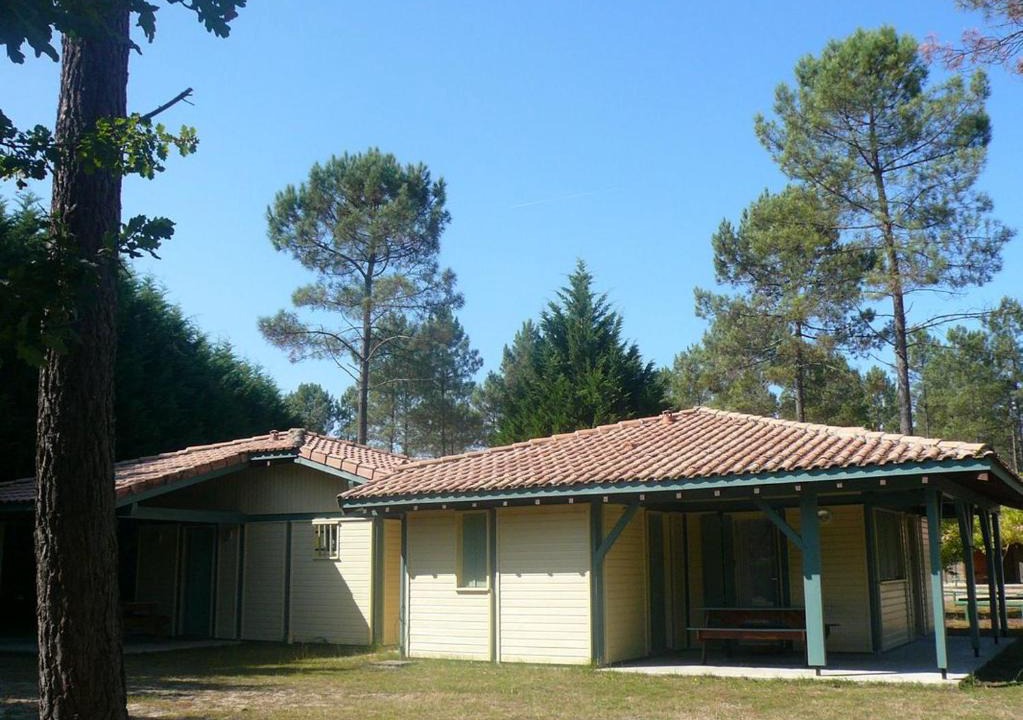 Brocas House | Les hélianthèmes