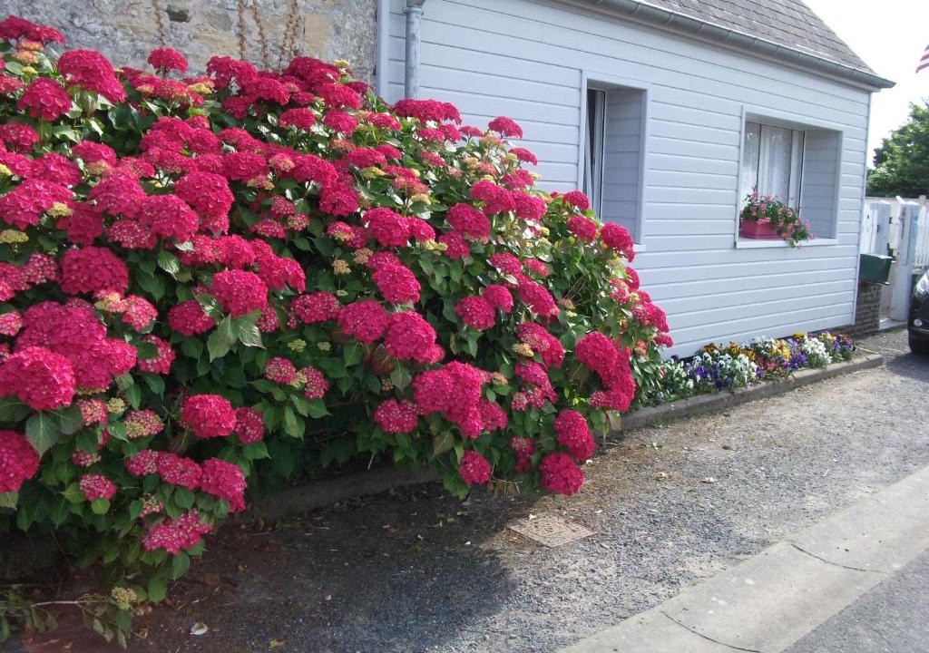 Saint-Laurent-sur-Mer Apartment | Les Hortensias 26