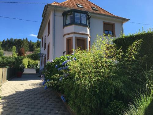 Barembach Apartment | Les hortensias en Alsace - meublé de tourisme 3 étoiles