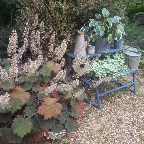 Watronville House | Les Insolites