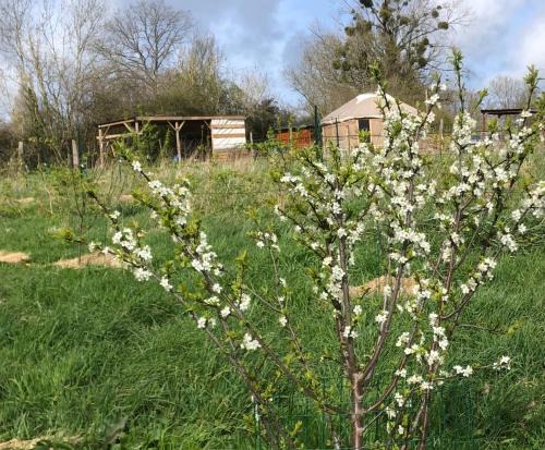 Beaufour-Druval Bed & Breakfast | Les Jardins Vert Framboise yourte et chambres d'hôtes