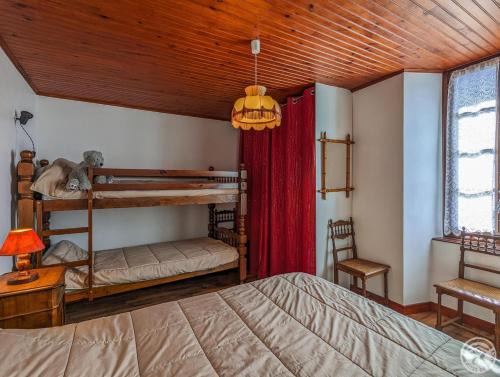 Cier-de-Luchon House | Les jonquilles et les narcisses