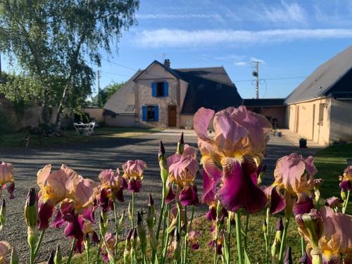 Marcheville Bed & Breakfast | Les Logis du Breuil
