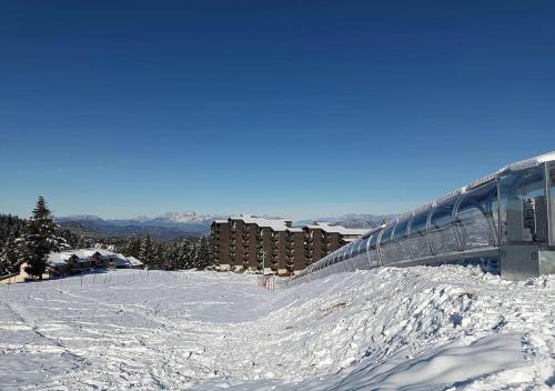 Selonnet Apartment | Les Marmottes