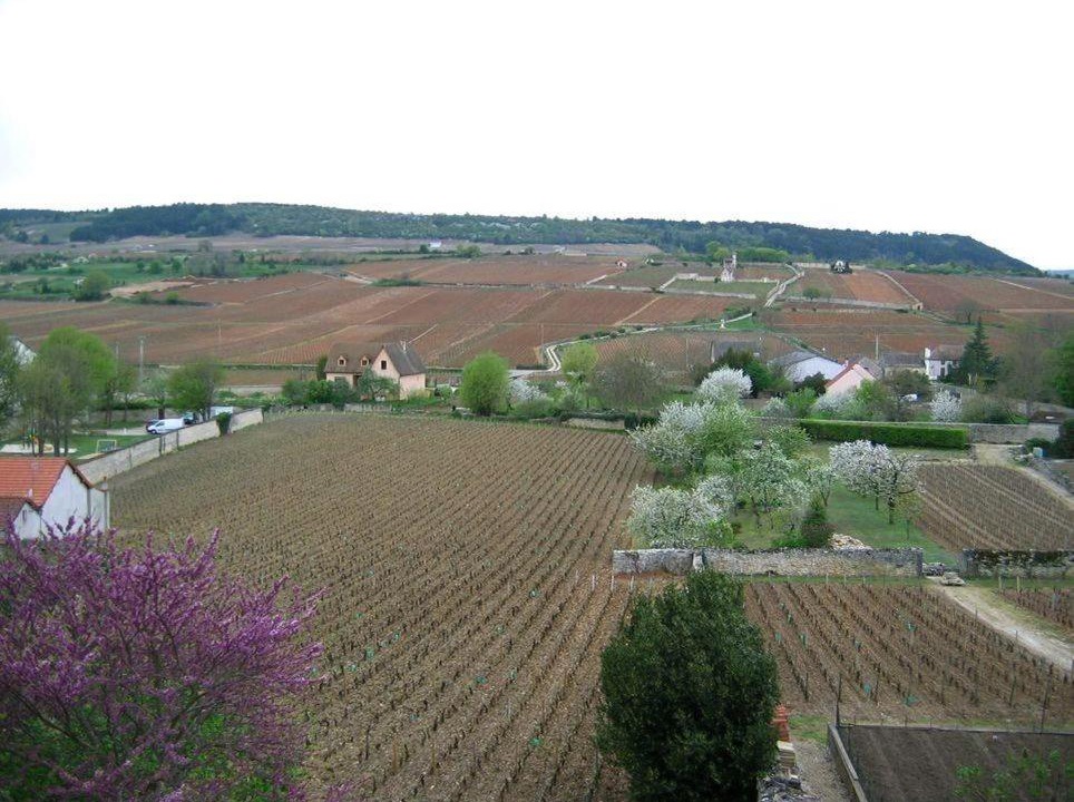 Meursault House | Les Meix sous le Château