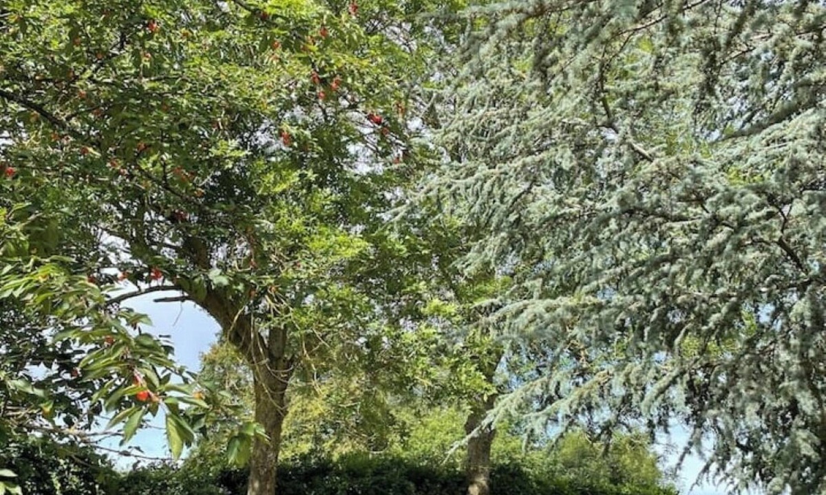 Marbois House | Les Murmures du Colombage