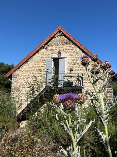 Rouy House | Les Musardises