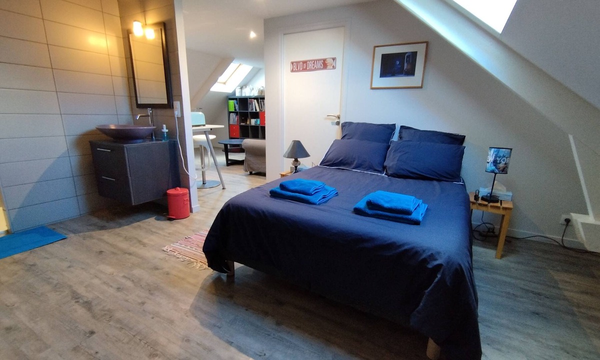 Vouvray Bed & Breakfast | Les nichoirs - 60m² room in Vouvray - bathroom and separate toilet