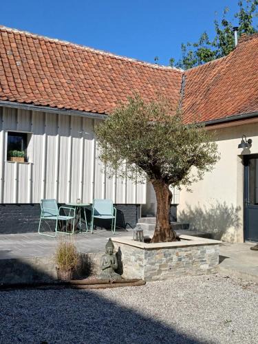 Cheriennes Bed & Breakfast | Les Oliviers