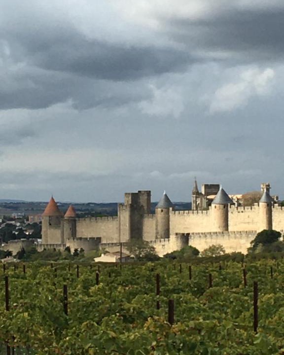 Carcassonne House | Les Orchidées