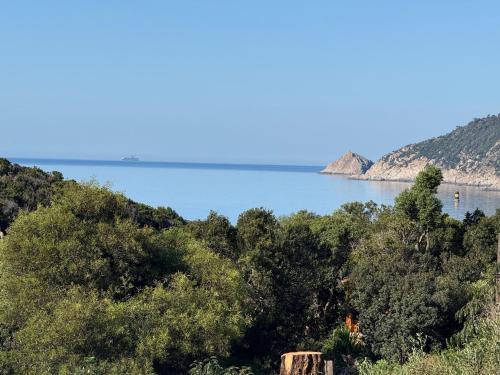 Ile du Levant Apartment | Les OULIVASTRES