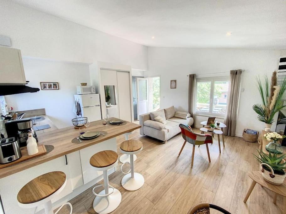 Villefranche-de-Lauragais Apartment | Les pénates du pastel - Jardin & Terrasse