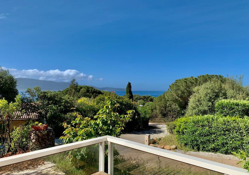 Olmeto Apartment | Les palmiers