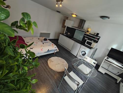 Besancon Old Town Apartment | Les Ronchaux Studio Hyper Centre WiFi