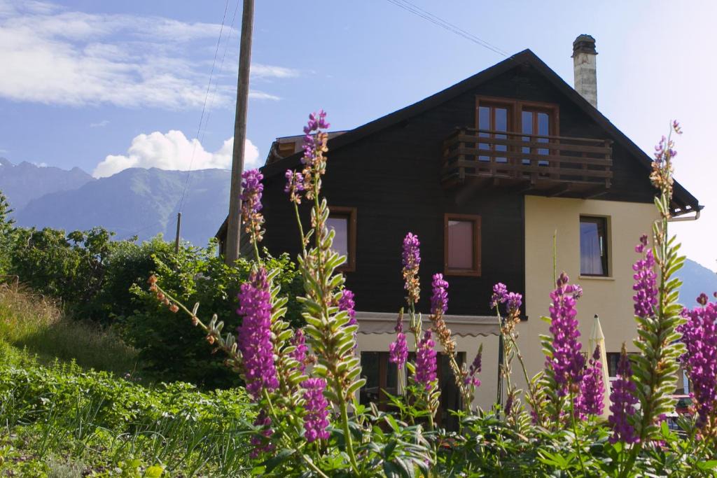 Salvan Apartment | Les Soldanelles