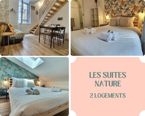Albi Apartment | Les Suites Nature - 2 Logements - Hyper Centre