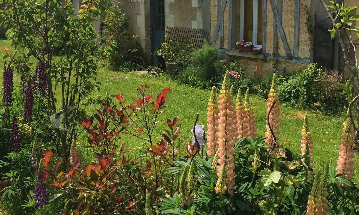 Levis House | Les Toitons