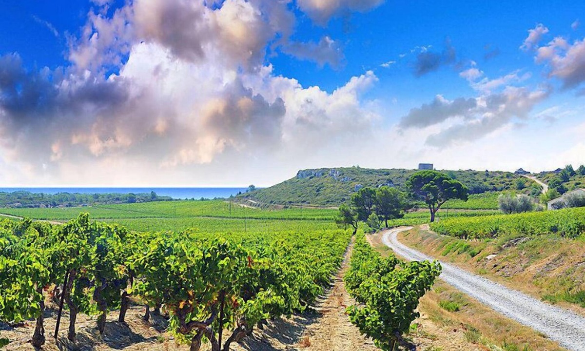 Narbonne Apartment | Les Vendanges by Interhome