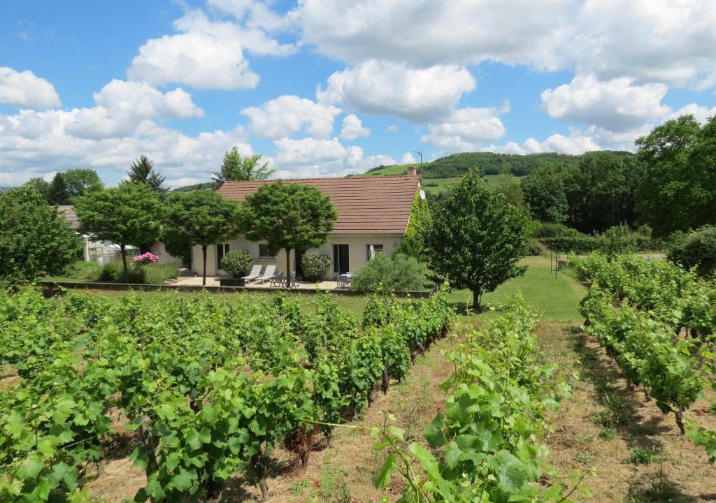Paris-l'Hopital House | Les Vignes de Paris
