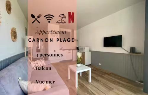 Carnon-Plage Apartment | *Les Voiliers, Studio, Vue sur Mer, Wifi, Parking*